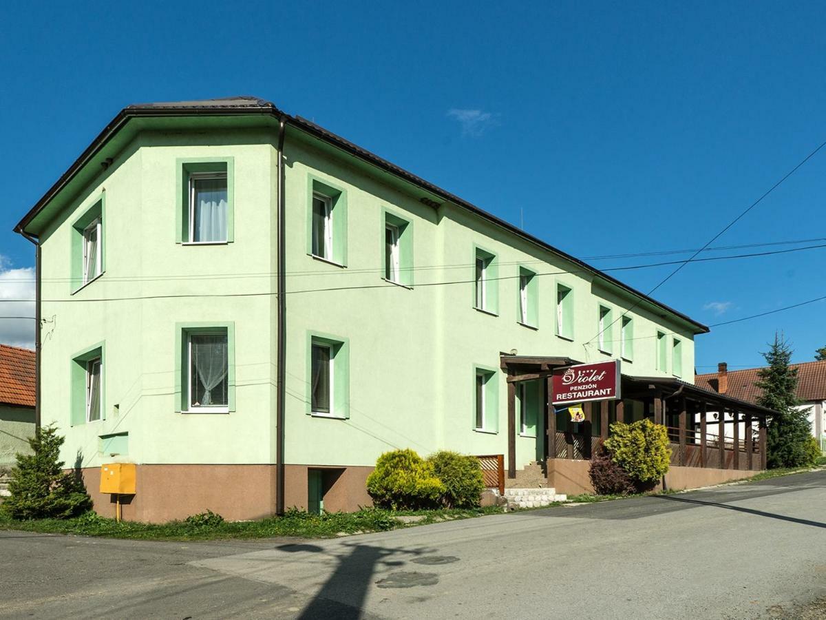 Ubytovanie Violet Važec Buitenkant foto
